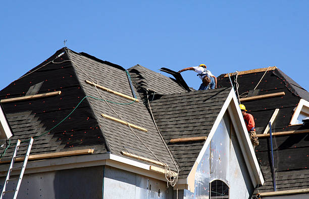 Best Local Roofing Companies  in Orange City, IA